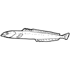 cartoon black and white fish drawing