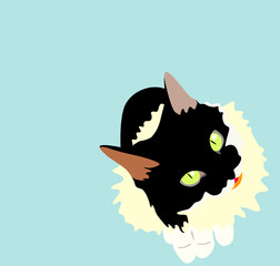 art cat, black and white