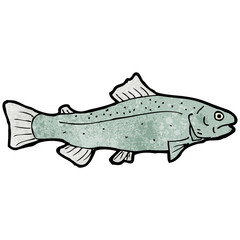 fish illustration