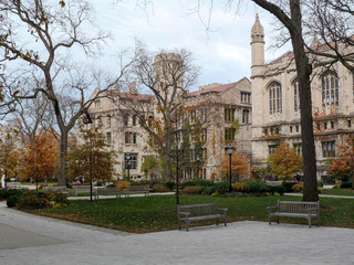 Fototapeta premium University of Chicago Campus