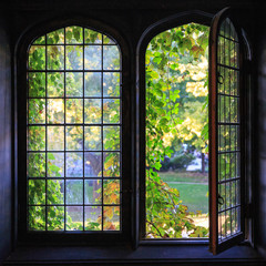 University Windows