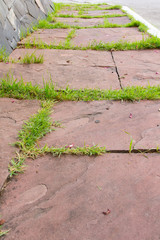 Obraz premium The red brick walkway in garden
