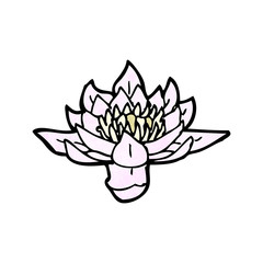 waterlily cartoon