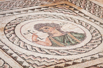 Fototapeta na wymiar Ancient religious mosaic in Kourion, Cyprus