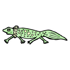 cartoon newt