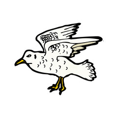 seagull illustration