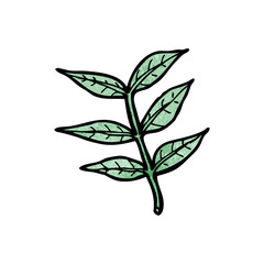 cartoon leaf
