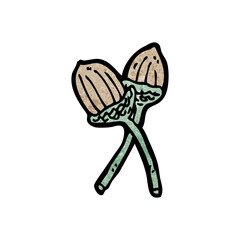 cartoon acorn