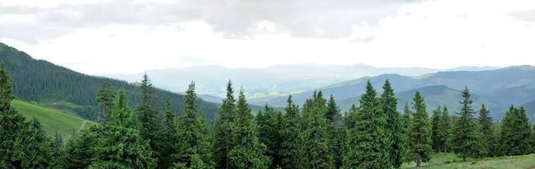 Selbstklebende Fototapete Hügel Panorama des schönen Bergwaldes