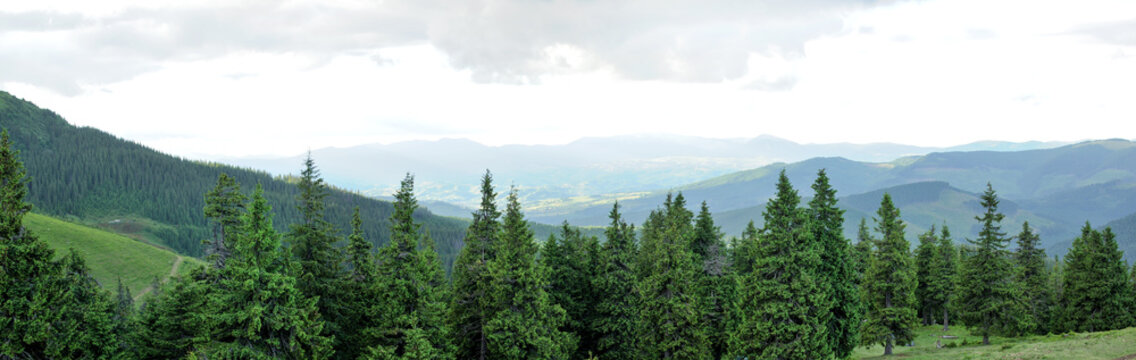 Panorama of Beautiful Mountain forest
