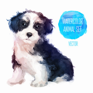 Vector Dog Hand Painted Watercolor Illustration Isolated On