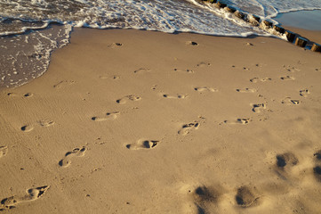 Ślady stóp na piasku. © 1dude