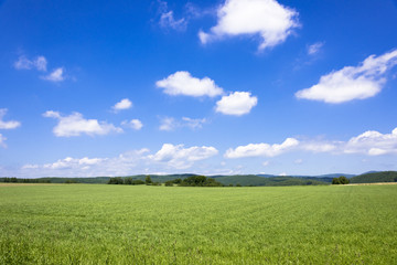 道東の訓子府の田園風景