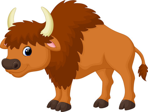 Cute Bison Cartoon