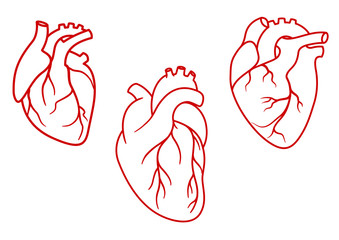 Human hearts icons in outline style