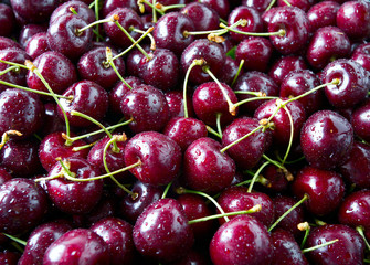 cherries background