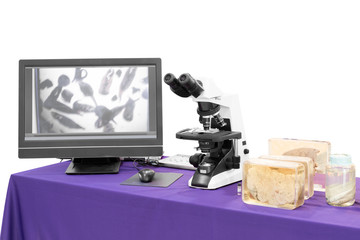 modern microscope with liver fluke