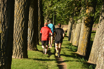 corriendo entre los arboles