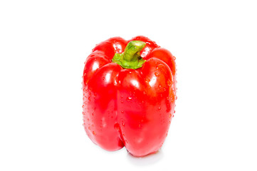 sweet  green pepper