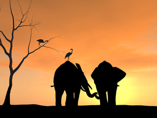 Fototapeta na wymiar Two elephants holding each others trunk like lovers holding hands, a very tender scene.