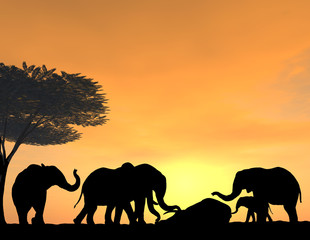 Fototapeta na wymiar Elephants Morn Their Dead at sunset, a very tender scene.