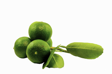 Four juicy lemons on a white background