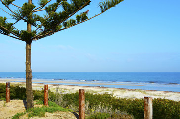 View of ocean beach coastline.