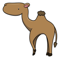 Camel baby