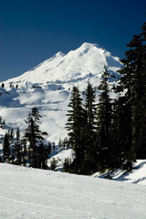 Fototapeta premium Mount Baker - Washington