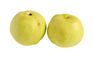 guava