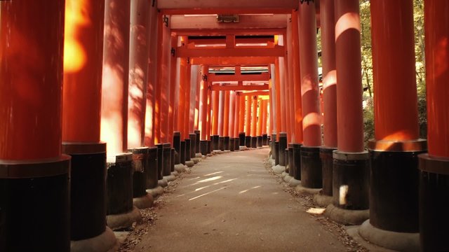 POV walk through the famous orange gates at Fushimi Inari Shinto shrine in Kyoto, Japan. Shot with motorized gimbal for smooth, floating motion.