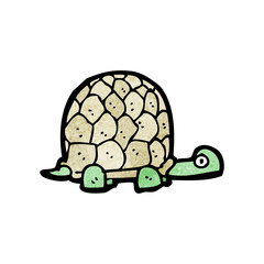 cartoon tortoise