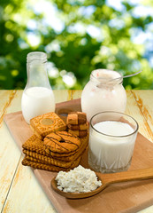 dairy products