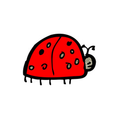 child's drawing of a ladybug