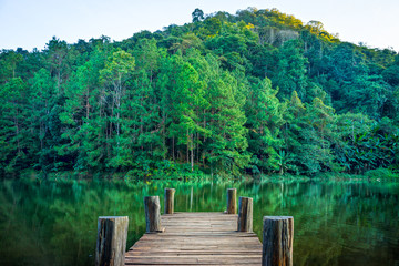 Tranquil scene of wooden pier in natural Huai Makhuea Som lake