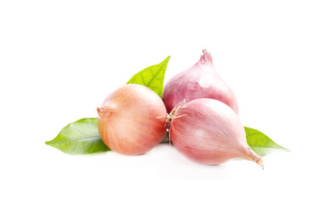 Organic Shallot Onions Isolated on White Background.