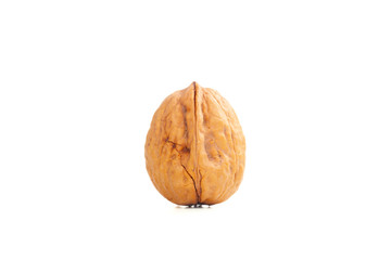 Dried Walnut Isolated on White Background in Horizontal View.