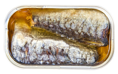 sardines en conserves sur fond blanc 