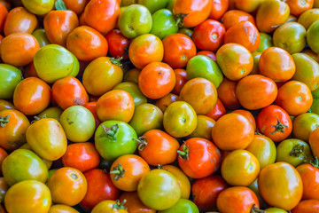 Heap of tomato fruits (Lycopersicon esculentum Mill.) for sale