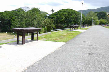 road, tree and wooden seat in the park
