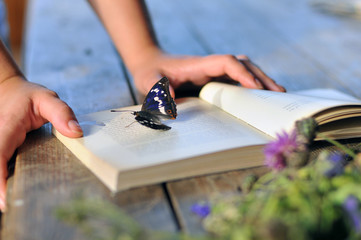 Book on wooden table with flowers, butterfly in the  village