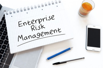 Enterprise Risk Management