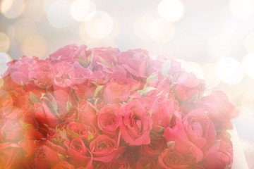 soft focus of beautiful flowers with color filters