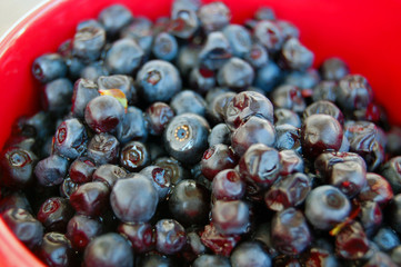 Heap of Ripe blueberries
