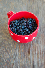 Full cup of juicy blueberries
