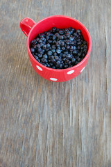 Fototapeta na wymiar Full cup of juicy blueberries