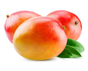 Fototapeta na wymiar mango
