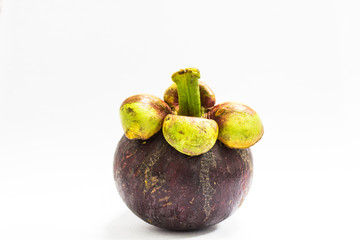 Flesh Mangosteen the tropical fruit and colorful of test that we can call it is the queen of fruits.