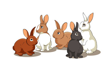 Obraz na płótnie Canvas Rabbits
