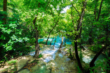 idyllic scenario with a mountain river in the forest